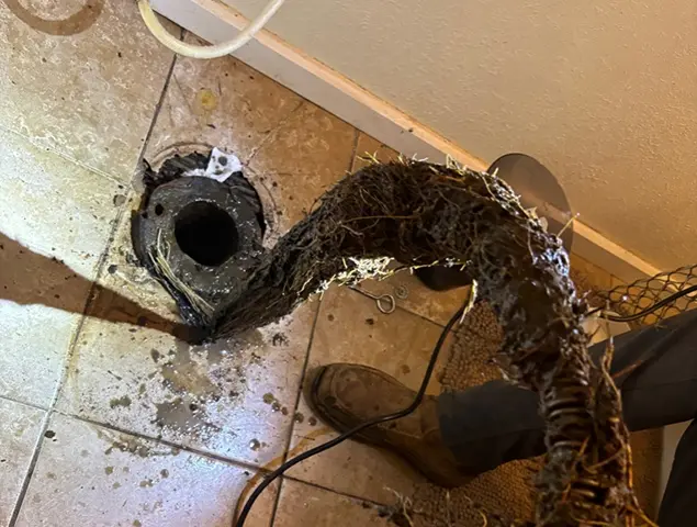 Drain Cleaning