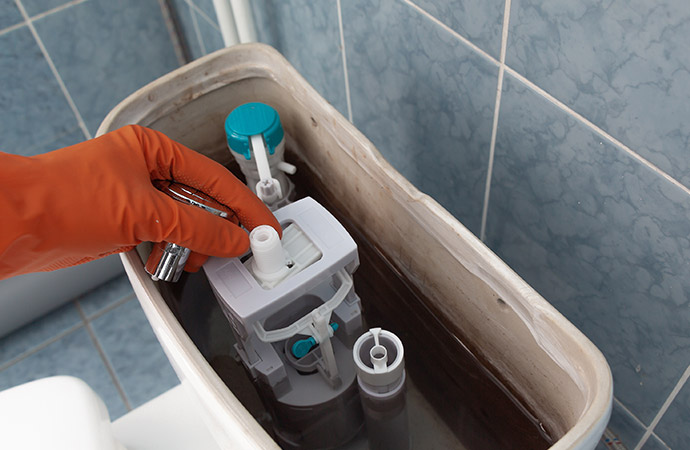 Professional Clogged Toilet Repairs